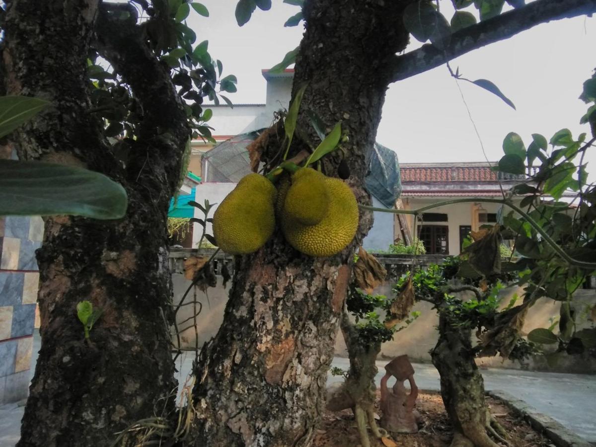 Little Trang An Homestay Ninh Binh Buitenkant foto